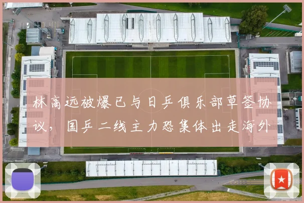 林高远被爆已与日乒俱乐部草签协议，国乒二线主力恐集体出走海外